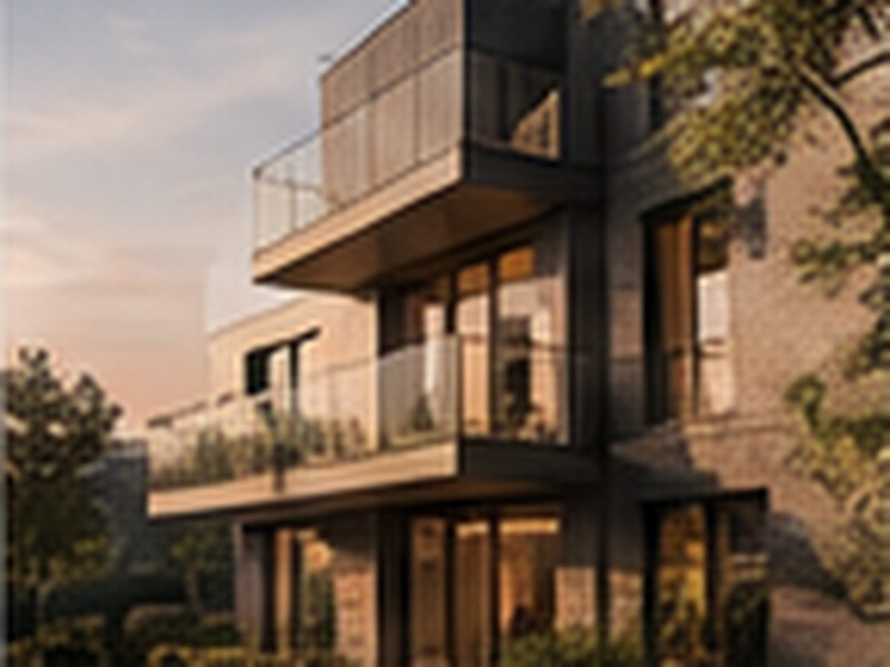 Real Estate investment and asset execution